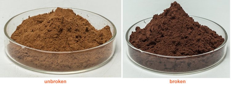 product-750-276 reishi shell broken spore powder