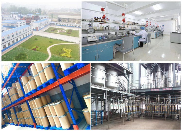 product-750-539 Our Factory, Lab, Warehouse&Equipment