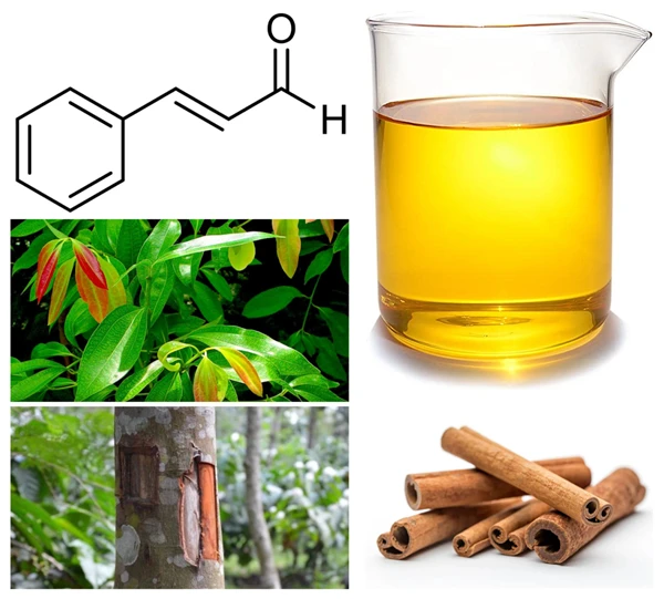 Cinnamon Leaf Essential Oil