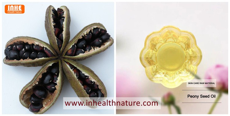 Peony Seed and Peony Seed Oil