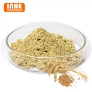 תמצית נבט חיטה