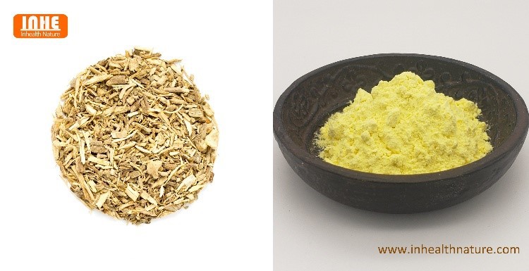 Kava Kava Root and Kava Root Powder