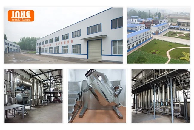 Our Factory Our Factory